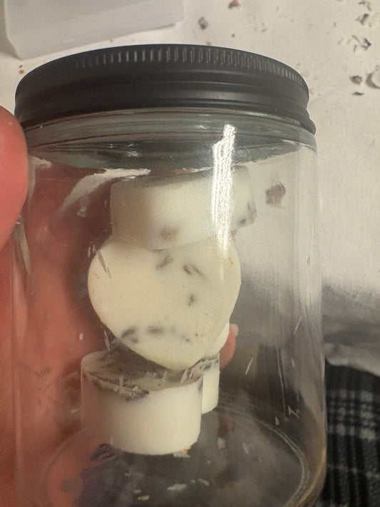 Lavender Lemon wax melts full size